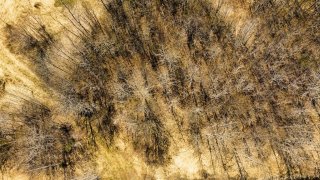 Terre/Terrain