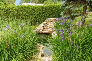 Jardin