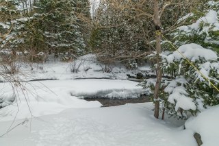 Bord de l'eau