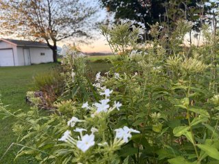 Land/Lot