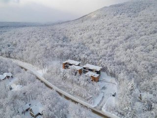 Overall View