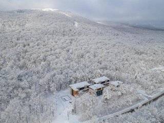 Overall View