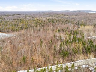 Wooded area