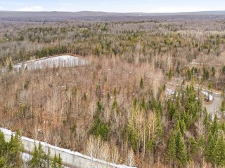 Wooded area