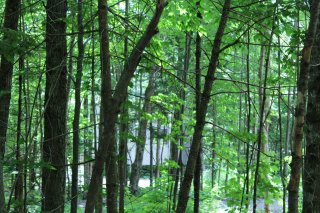 60 Allée Verte