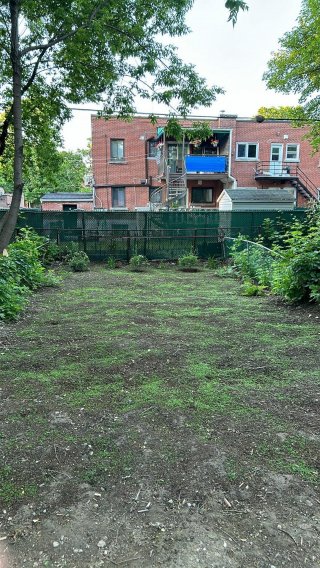 Backyard