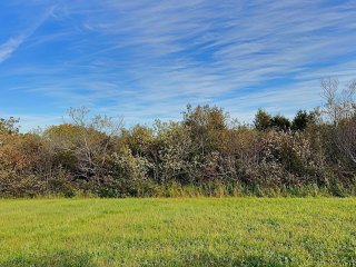 Land/Lot