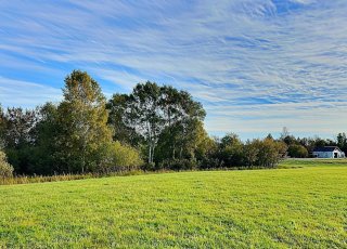 Land/Lot