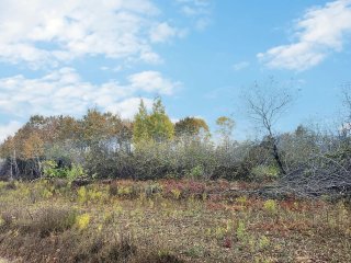 Land/Lot
