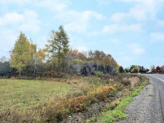 Land/Lot
