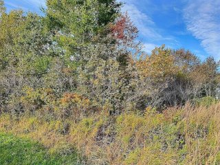 Land/Lot