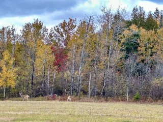 Land/Lot