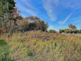 Land/Lot