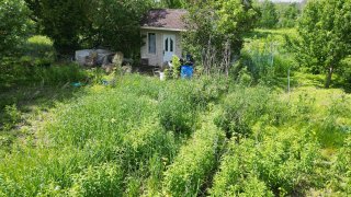 Land/Lot