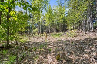 Land/Lot