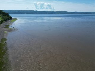 Vue sur l'eau