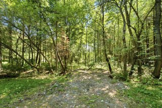 Land/Lot