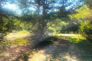 Terre/Terrain