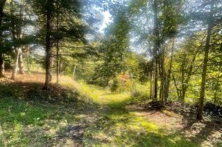 Terre/Terrain