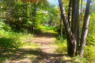 Terre/Terrain