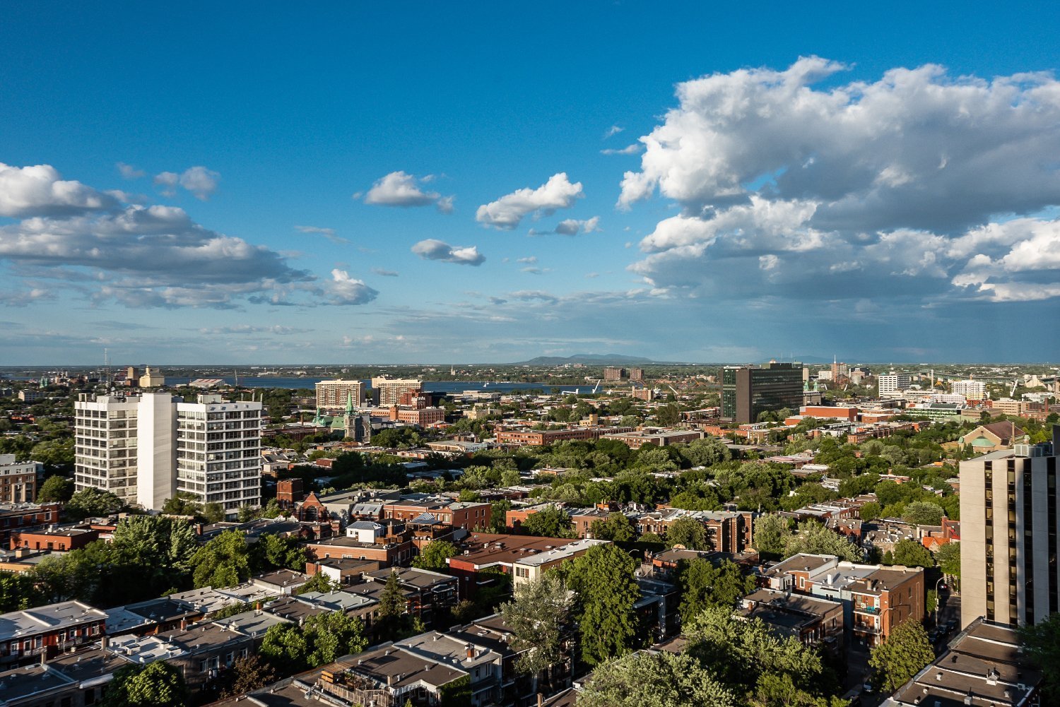 #1902 - 3535 Av. Papineau