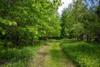 Land/Lot