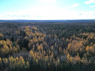 Land/Lot