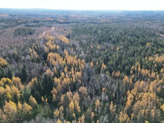 Land/Lot