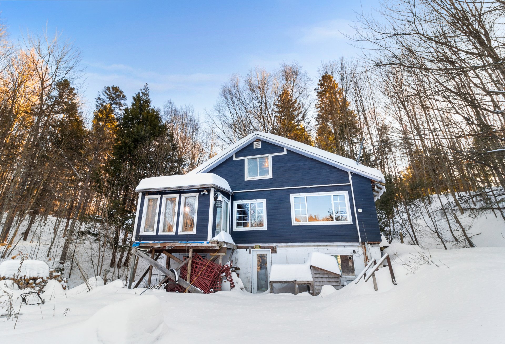 Joelle Bitar / #11527203