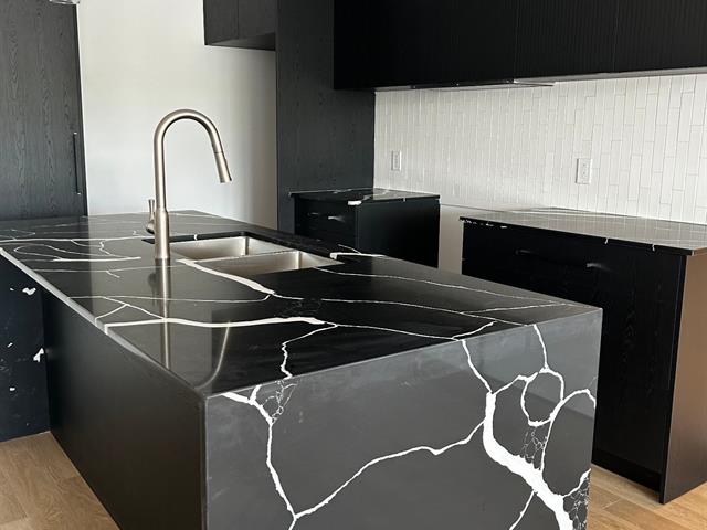 #201 - 9040 Rue Lajeunesse
