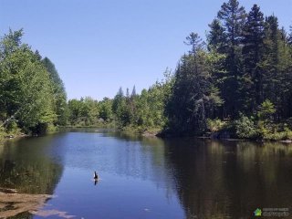 Vue sur l'eau