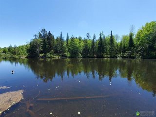 Vue sur l'eau