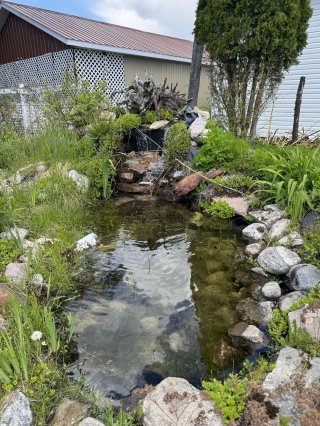 Jardin