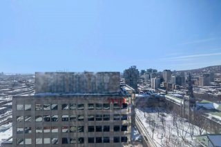 Vue
