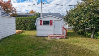 Shed