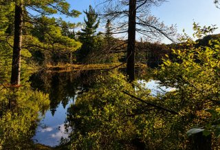 Water view