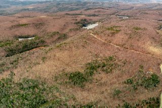 Overall View
