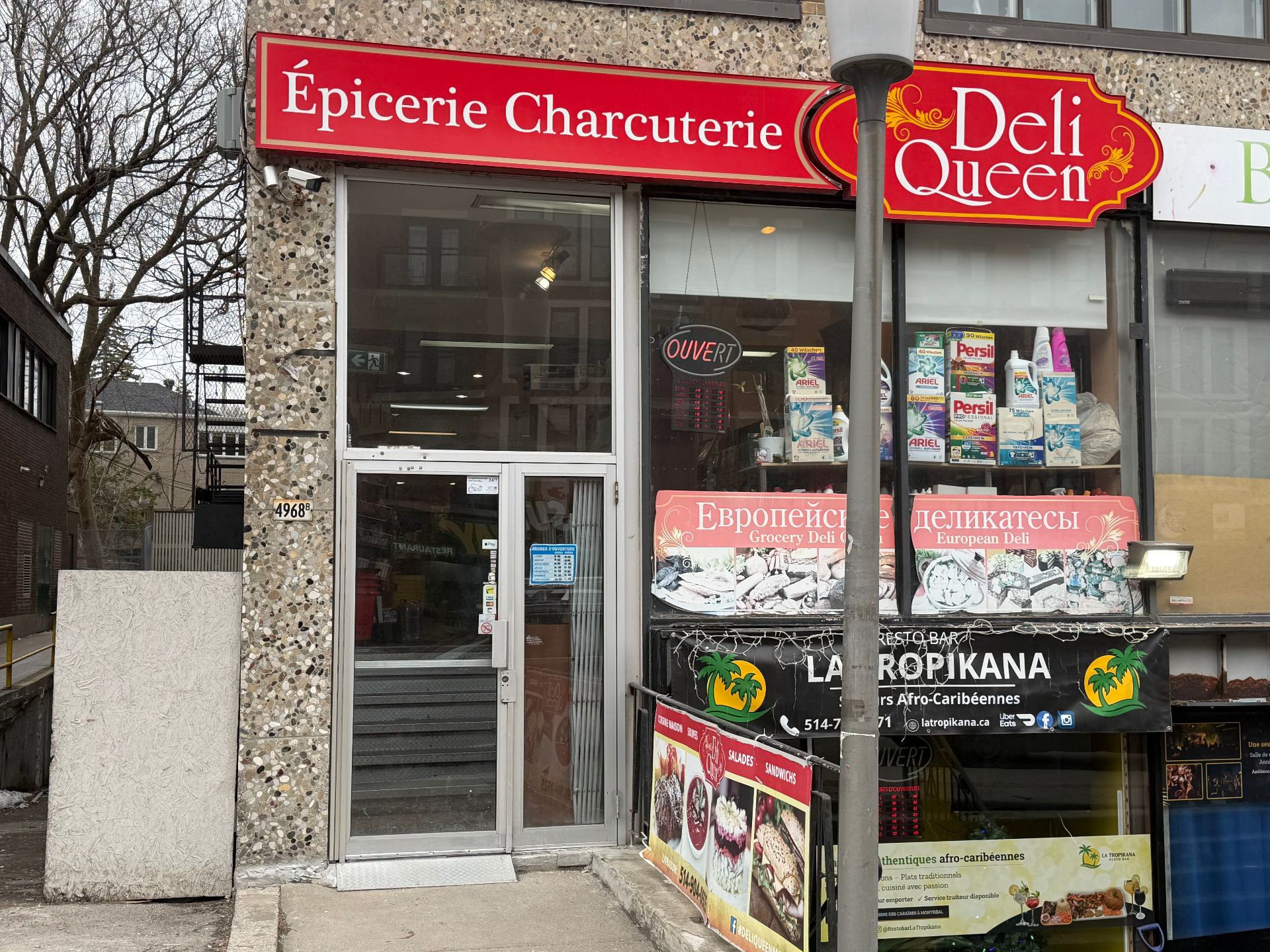 4968B Ch. Queen-Mary