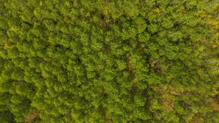 Terre/Terrain