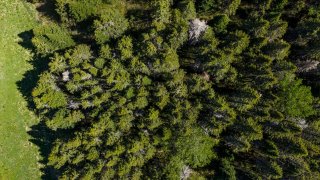 Terre/Terrain