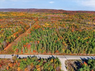 Land/Lot