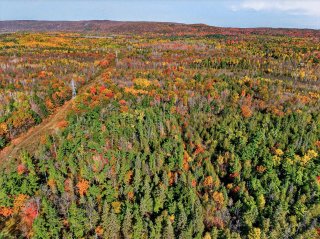 Land/Lot