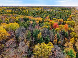 Land/Lot