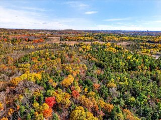 Land/Lot
