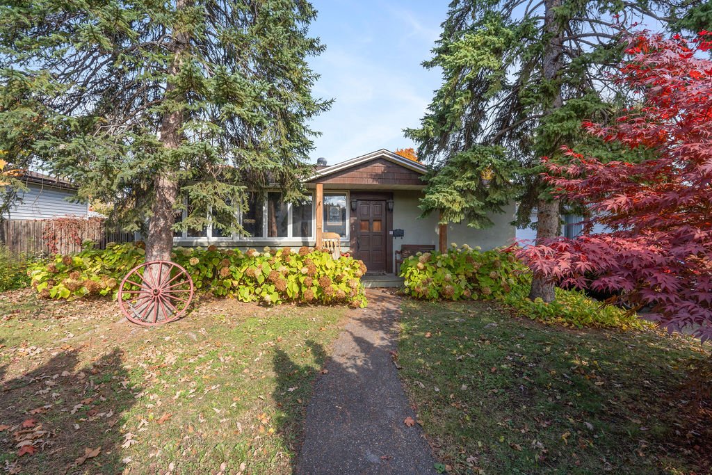 Joelle Bitar / #12700136