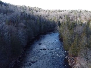 Bord de l'eau