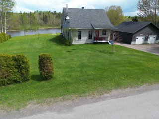 Overall View