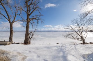 Bord de l'eau