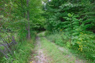Terre/Terrain