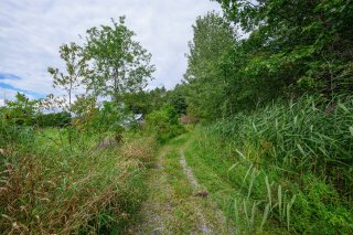 Terre/Terrain